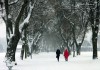 Schnee in der Lindenallee