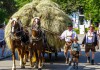 05.07.2015 Festzug Josef Bachinger